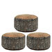 Learn about Nature Tree Stump Seat  hi\-res