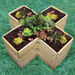 Cross Shaped Grow Bed  hi\-res