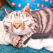 TTS Vibrating Weighted Lap Buddies  hi\-res