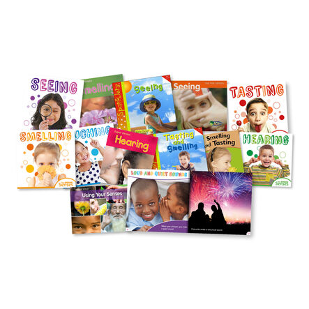 KS1 My Senses Books 12pk  hi\-res
