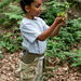 Outdoor Exploration Foraging Pockets Set  hi\-res