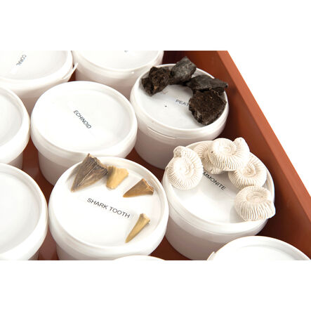 Fossil Class Pack  hi\-res