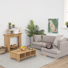 TTS Modern Living Coffee Table  hi-res