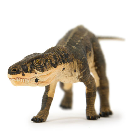 Small World Dinosaur Set 10pcs  hi\-res