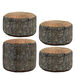 Learn about Nature Tree Stump Seat  hi\-res