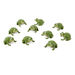 Terrific Talking Frogs  hi\-res