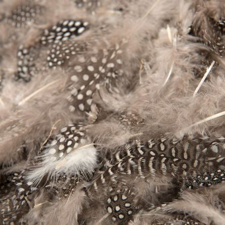 Feather Pack Assorted 78g  hi\-res
