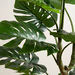 Large Artificial Monstera Plant 160cm  hi\-res