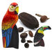 TTS The Rainforest Artefact and Books Resource Box  hi\-res