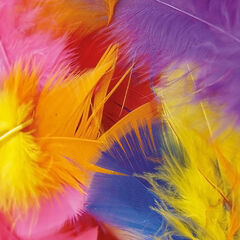 Craft Feathers Assorted 250pk  hi-res