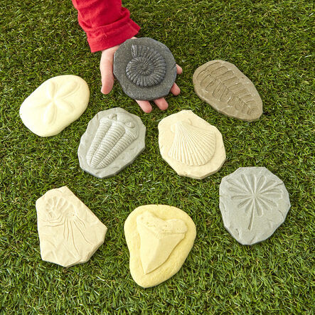 Let\'s Investigate Fossils  hi\-res