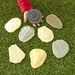 Let\'s Investigate Fossils  hi\-res