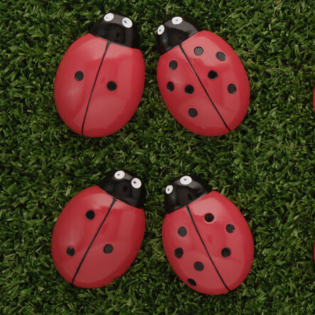 Ladybird Counters and Cards  hi\-res