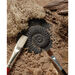 Let\'s Investigate Fossils  hi\-res