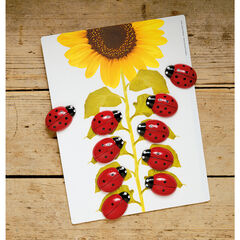 Ladybugs Counting Activity Cards 16pk  hi-res
