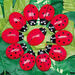 Ladybugs Counting Stones 22pk  hi\-res