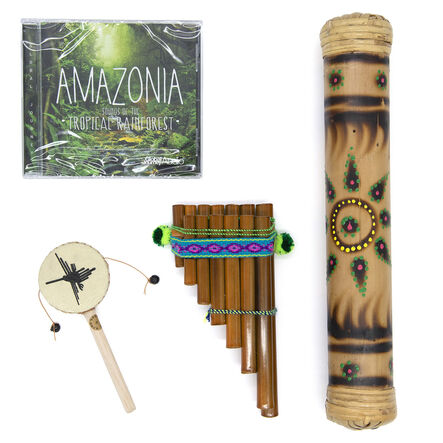 TTS The Rainforest Artefact and Books Resource Box  hi\-res