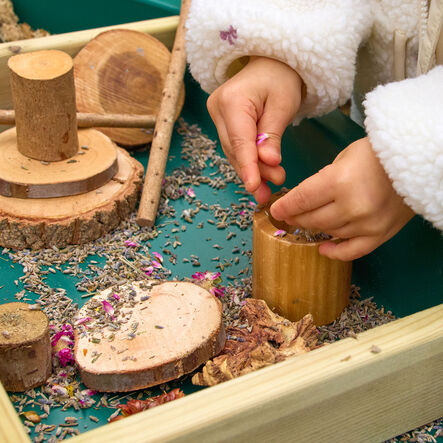 Tuff Tray Loose Parts Sorting Dividers  hi\-res