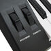 Axus Digital AXP2 Electronic Keyboard  hi\-res