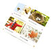 Seasons Book Pack  hi\-res