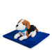 TTS Weighted Lap Buddies and Blanket  hi\-res