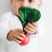 Natural Rubber Toddler Fruit \x26 Veg Chewables  hi\-res