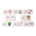 Decodable Word Dominoes Full Set Phases 2\-5  hi\-res