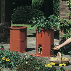 Potato Planting Barrel  hi-res