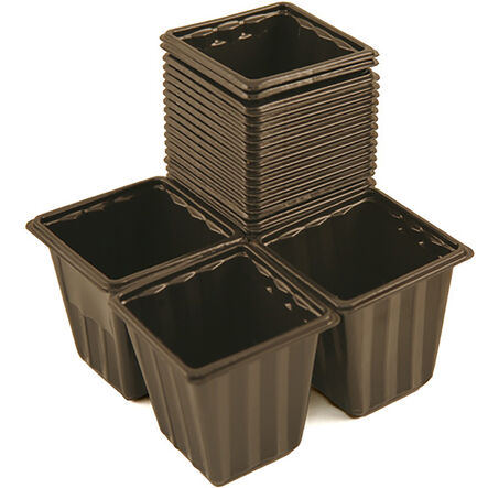 Pricking Out Plant Pots 18pk  hi\-res
