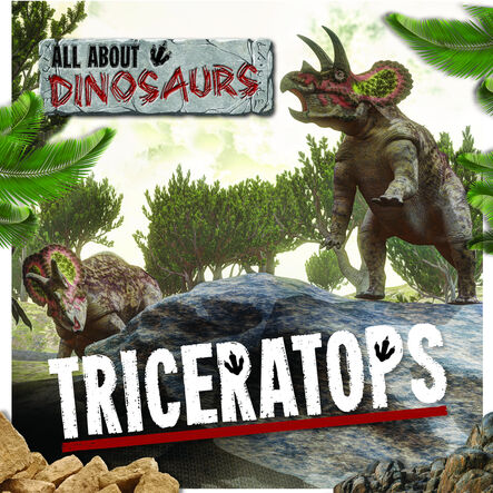 Amazing Dinosaurs Books  hi\-res