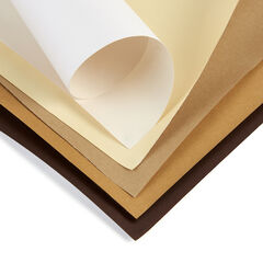 TTS Neutral Poster Paper Roll 85gsm 760mmx10m 10pk  hi-res