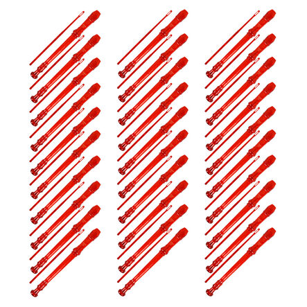 Coloured Descant School Recorder \x26 Cleaning Rod  hi\-res
