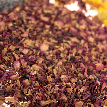 Dried Flowers Natural Collage Pack  hi\-res