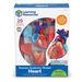 Learning Resources Complete Anatomy Models  hi\-res