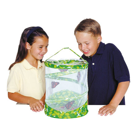 Butterfly Garden Life Cycle Kit  hi\-res