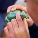 Terrific Talking Frogs  hi\-res