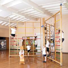 Spectrum Gym Climbing Frame  hi-res