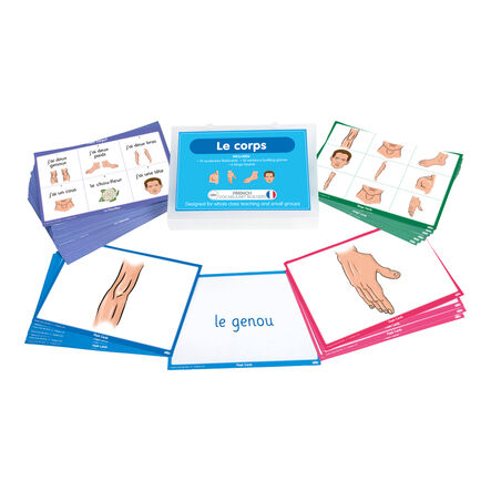 TTS French Body Parts Vocabulary Builder Activity Cards  hi\-res