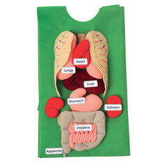 Human Anatomy Tunic  hi-res
