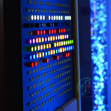 Rod Wall  hi\-res