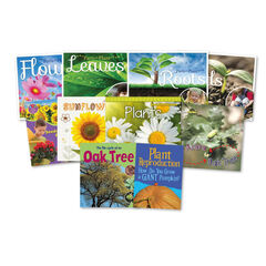 KS1 Plant Life Cycle Books 10pk  hi-res