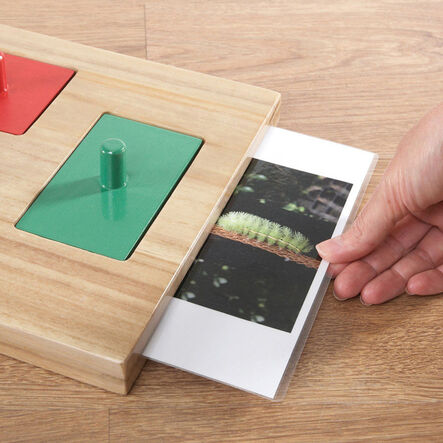 TTS Wooden Jigsaw Explorer Image Board  hi\-res