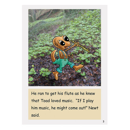 Dandelion Extended Phonic Readers Decodable Book Packs  hi\-res