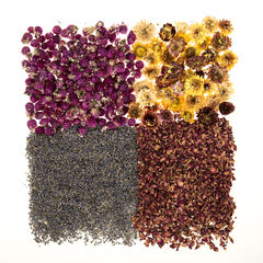 Dried Flowers Natural Collage Pack  hi-res