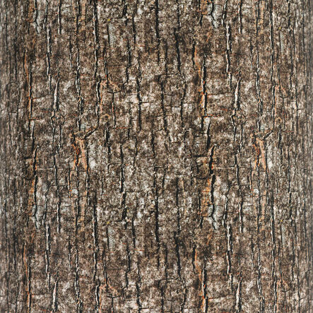 Learn about Nature Tree Log Cushion  hi\-res