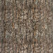 Learn about Nature Tree Log Cushion  hi\-res