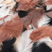 Feather Pack Assorted 78g  hi\-res