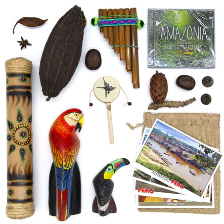 TTS The Rainforest Artefact and Books Resource Box  hi\-res