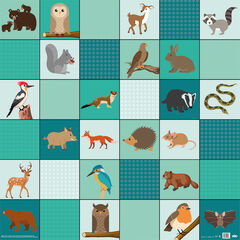Loti-Bot Mat - Woodland Animals  hi-res