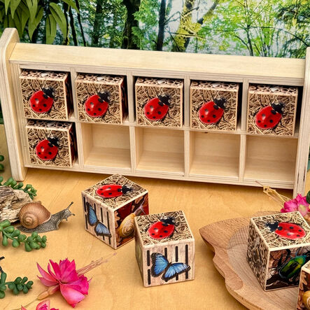 Yellow Door Bug Hotel 10 Frame Habitat  hi\-res